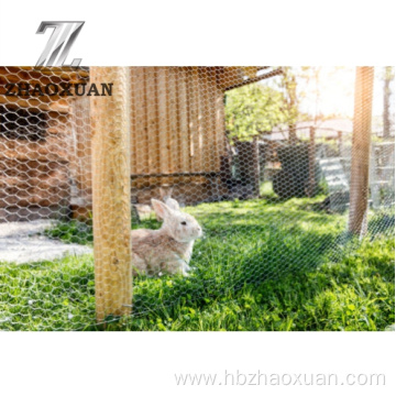 Galvanized Poultry Netting Hexagonal Chicken Wire Mesh